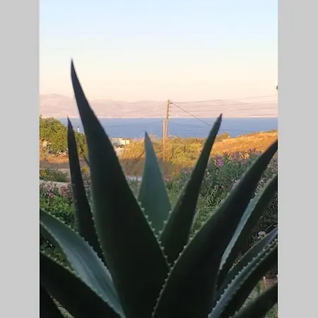 Apartamento Aloe Country House