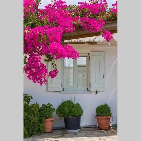 Apartamento Aloe Country House Logaras